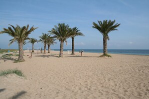 A sandy beach with palm trees and a clear blue sky.