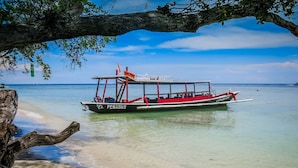 A boat named 'PEGAUS' docked at a beach with clear water and a tree overhead.