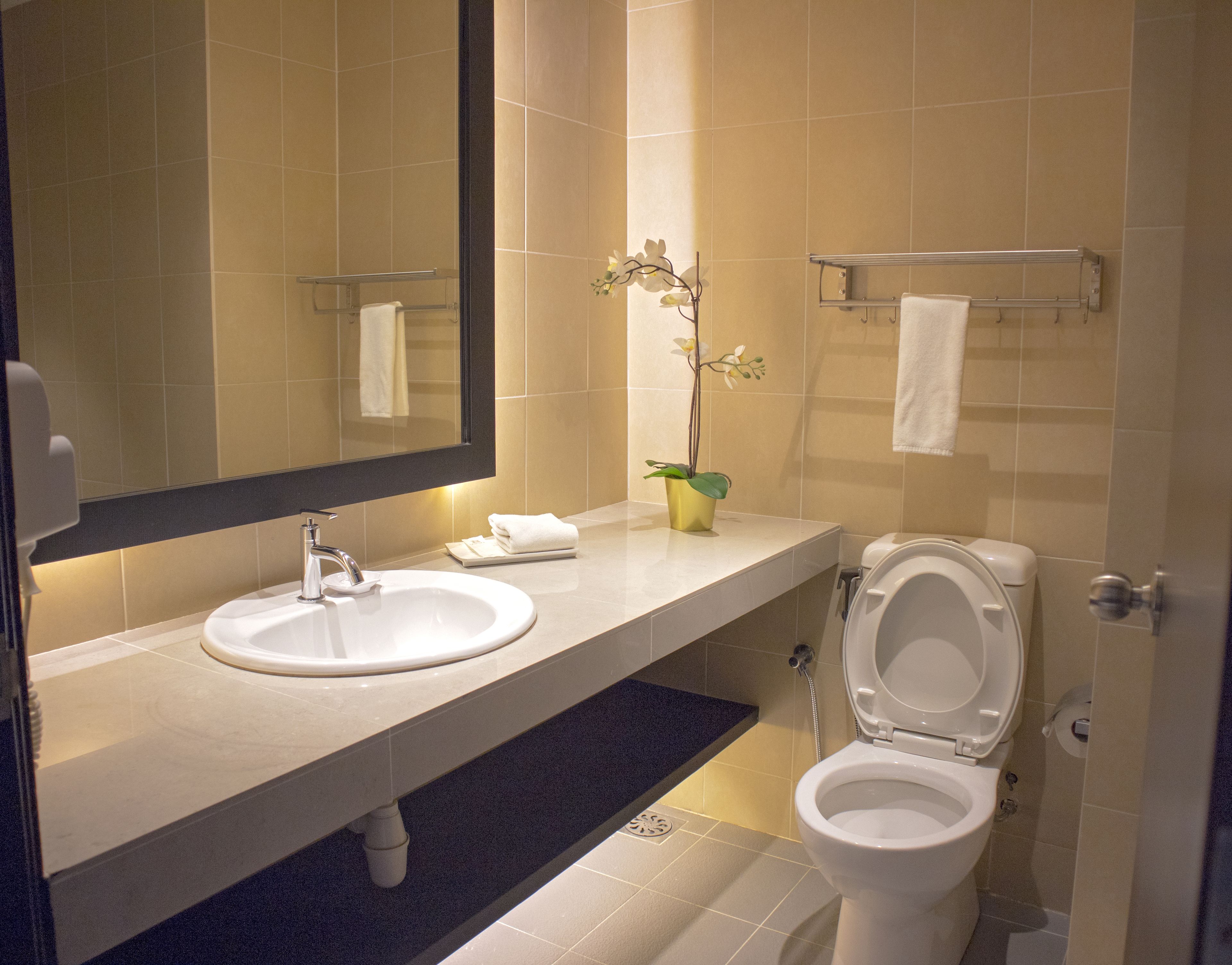 suite | bathroom | shower, free toiletries, hair dryer, slippers