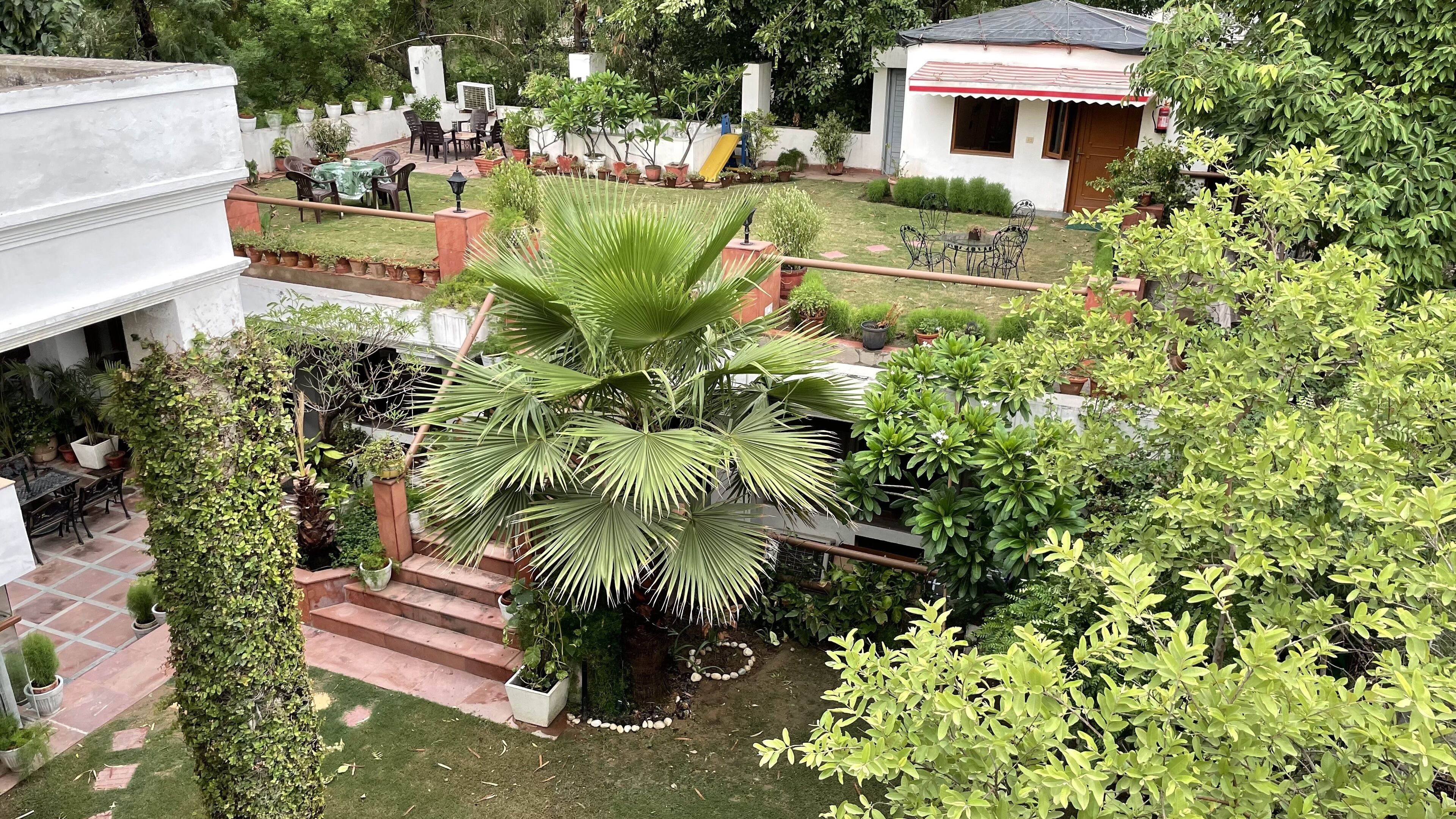 Un patio con una palmera, plantas en macetas y mobiliario para exteriores.