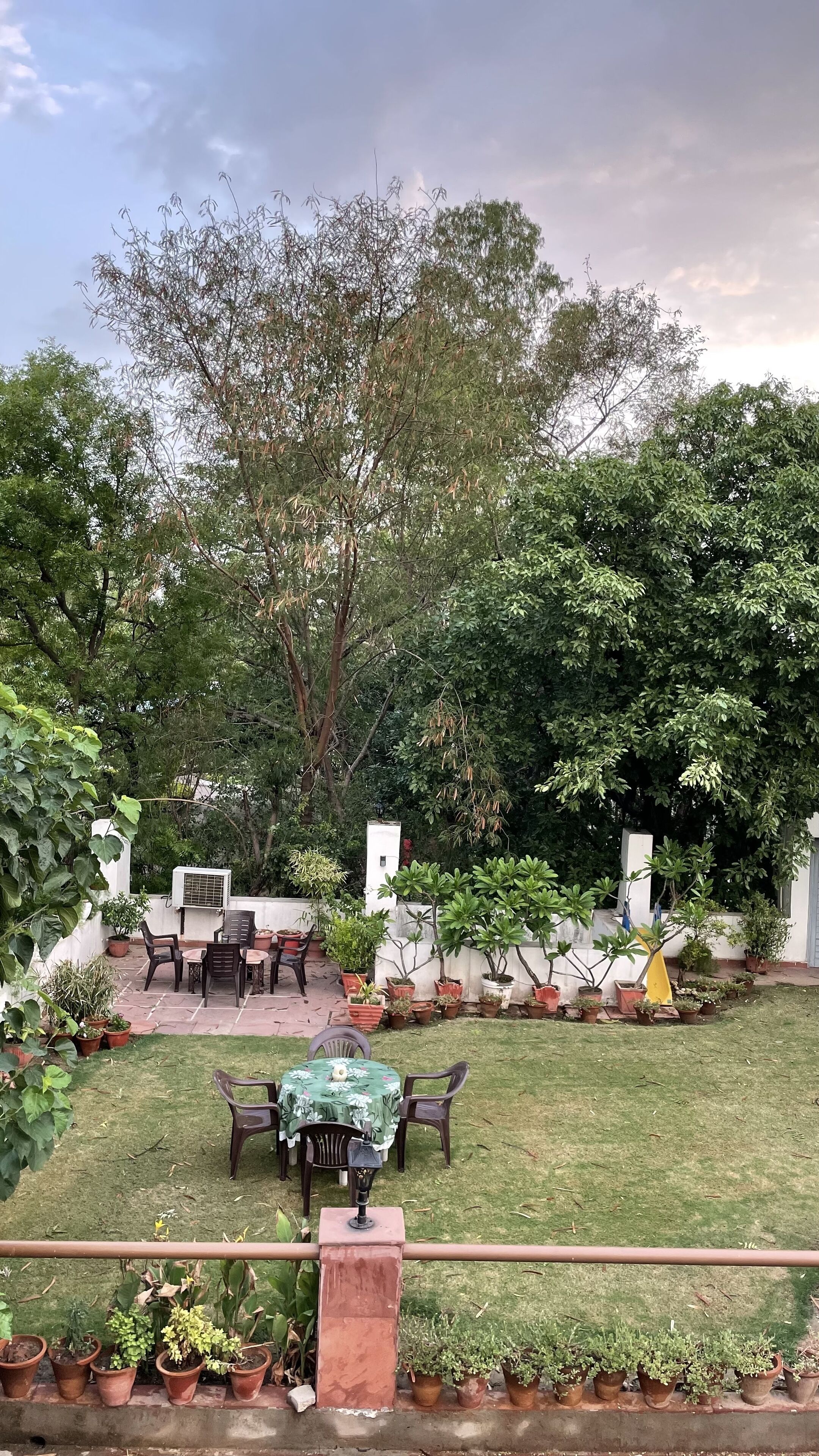 Eine Terrassenfläche mit Tisch und Stühlen, umgeben von Kübelpflanzen und einem Rasen.