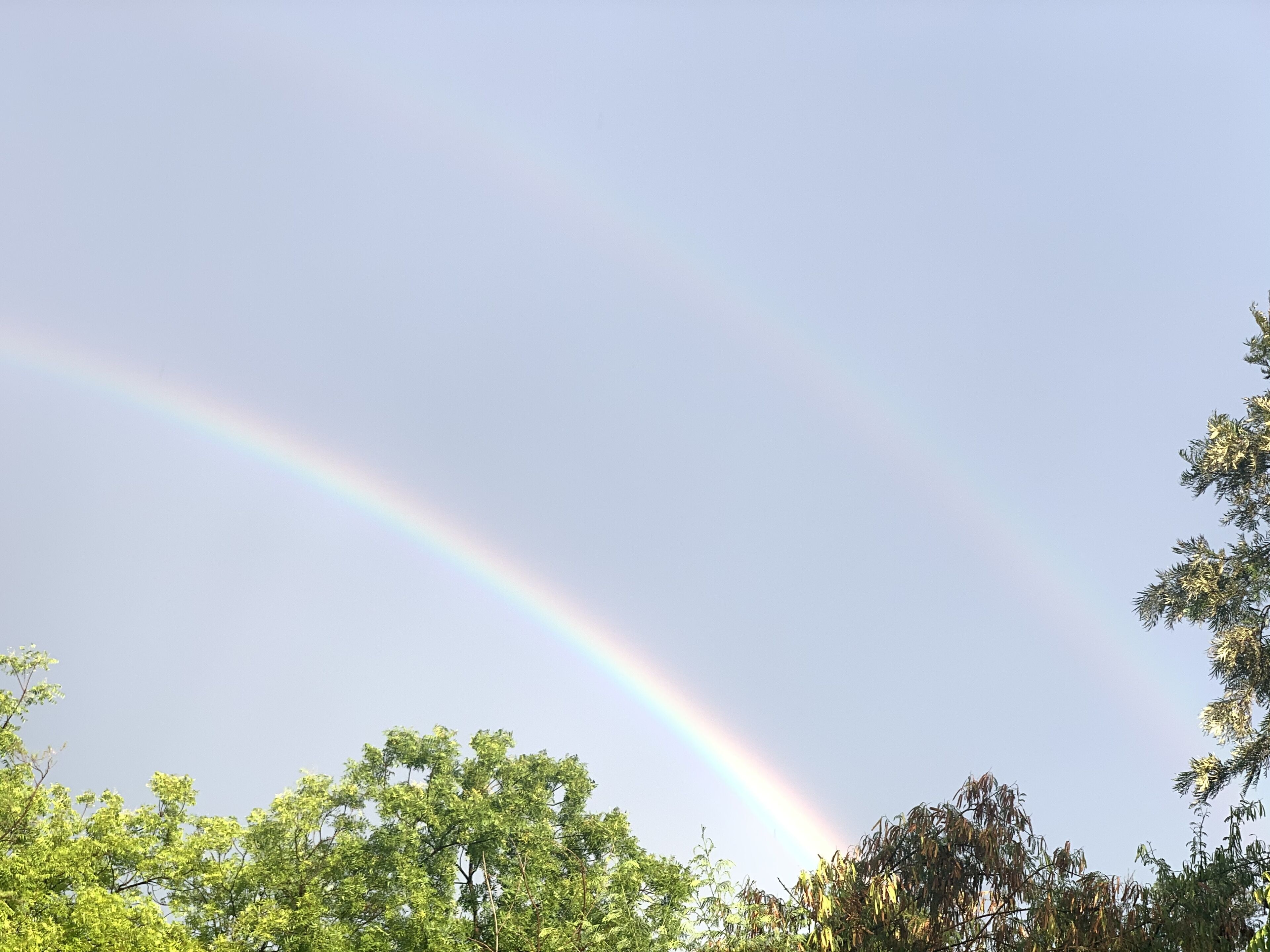 Foto - The Stay Inn New Delhi