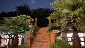Un escalier menant à l’entrée d’un bâtiment, entouré de palmiers et surplombant un ciel nocturne où l’on peut voir la lune.