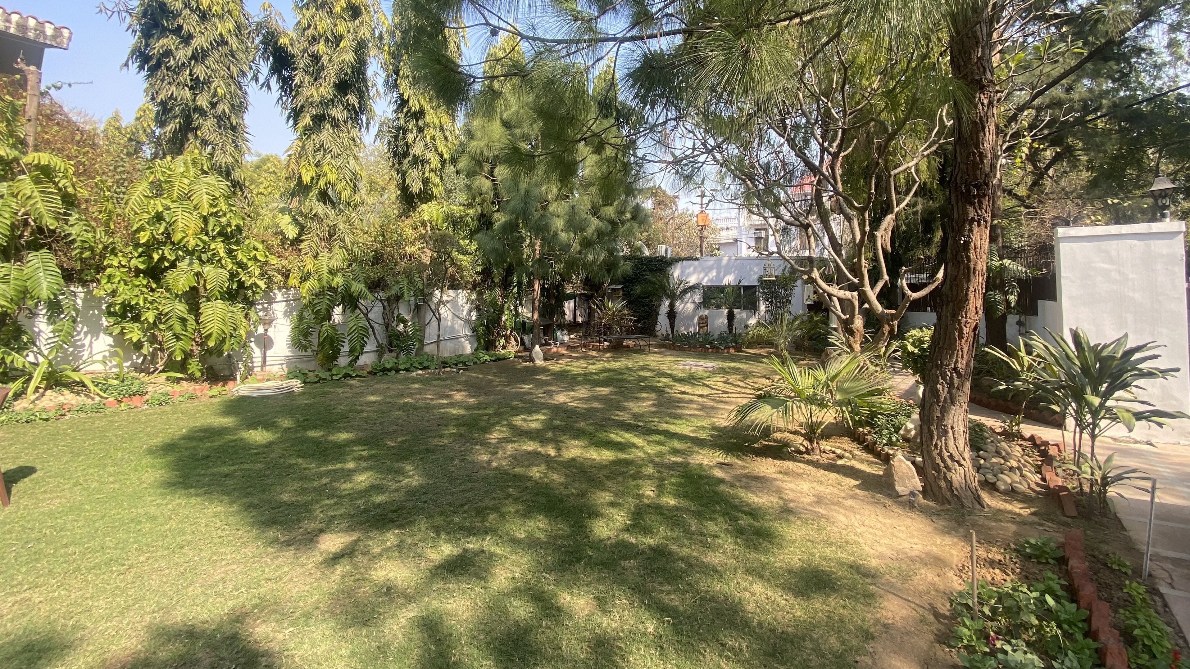 A well-maintained garden with a variety of trees and shrubs, a grassy lawn, and a paved area with a bench.