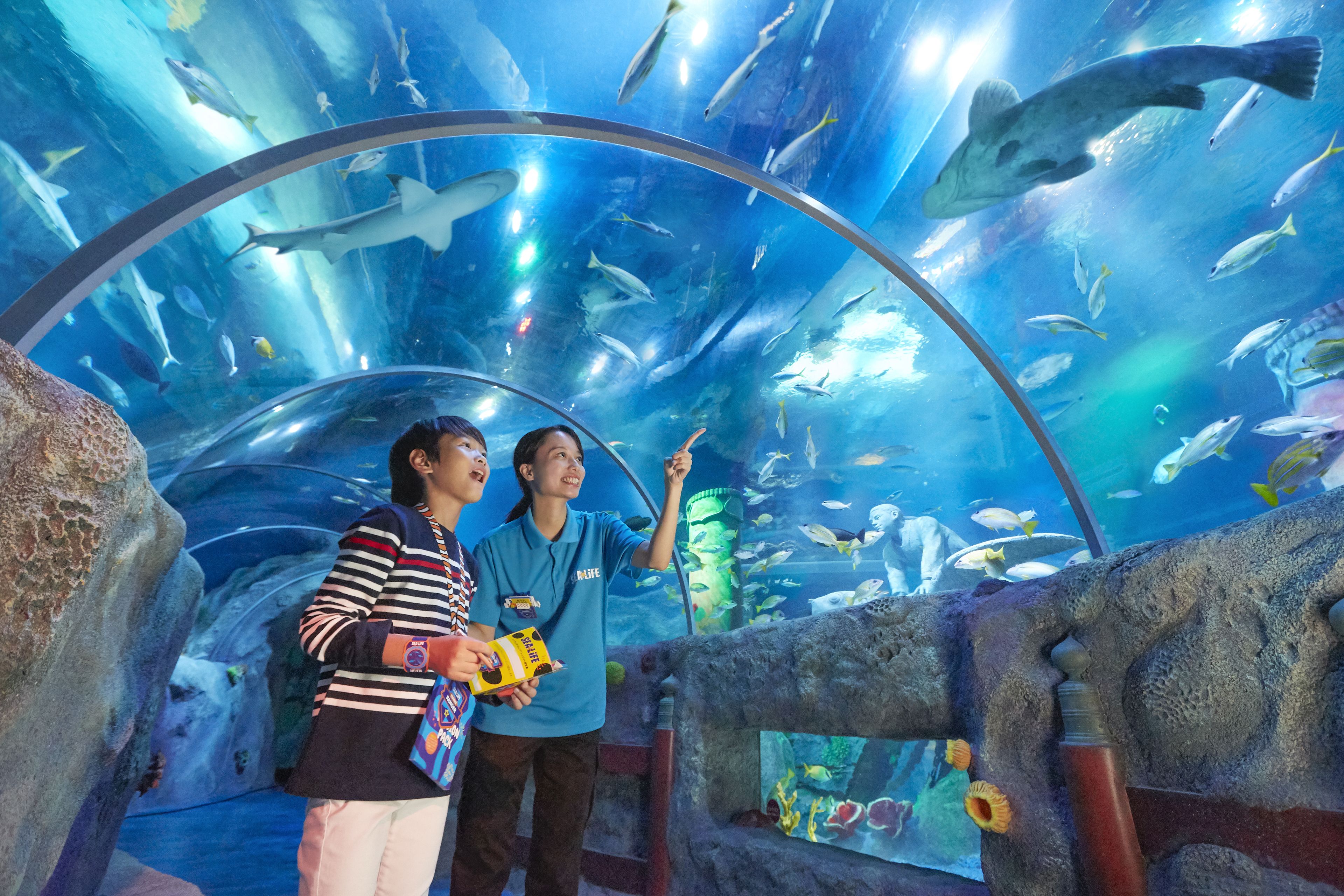 An aquarium with a large viewing dome, various fish species, and a rocky enclosure.
