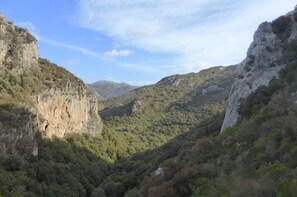 Ulkopuoli
