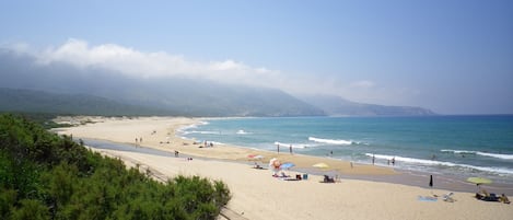 Playa