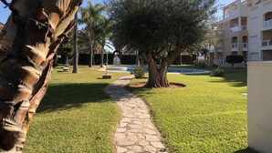 Un patio bien cuidado con un sendero de piedra, un árbol grande y una piscina.