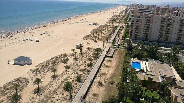 A coastal beach with a long promenade lined with palm trees and a pool area adjacent to a high-rise building.