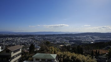 Un quartier résidentiel avec des maisons et une vue lointaine sur la ville.