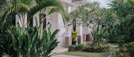 A modern building with a well-maintained garden, including various tropical plants and a paved pathway.