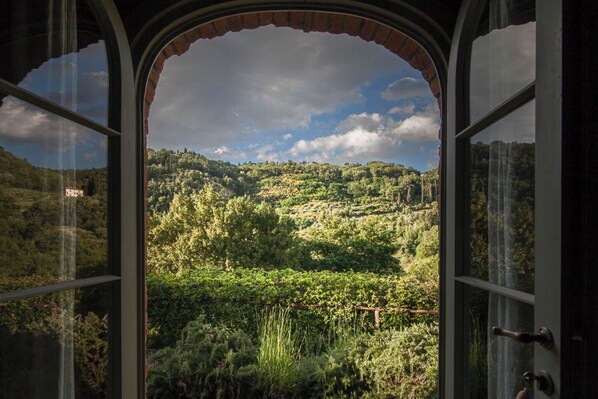 Interior - La Volpe in the Chianti classico. Perfect location for your precious holiday (San Polo in Chianti)