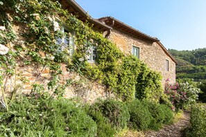 Exterior - La Volpe in the Chianti classico. Perfect location for your precious holiday (San Polo in Chianti)