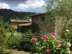 Exterior - The Fox - Comfort and luxury. Perfect location for your preciouse holidays (San Polo in Chianti)
