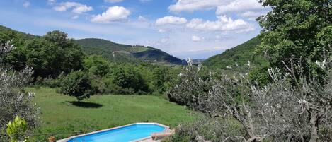 A swimming pool with wooden deck and lounge chairs, surrounded by greenery and hills.