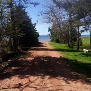 A dirt path leading to a beach with trees on both sides and a clear view of the ocean.