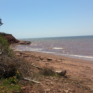 Camastros y toallas de playa