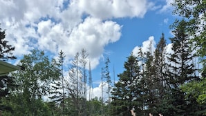 A grassy outdoor area with a small stage, chairs, and a tent. There are trees and a wooden structure in the background. - Little Eden Summer Beach Home  (Canoe Cove)