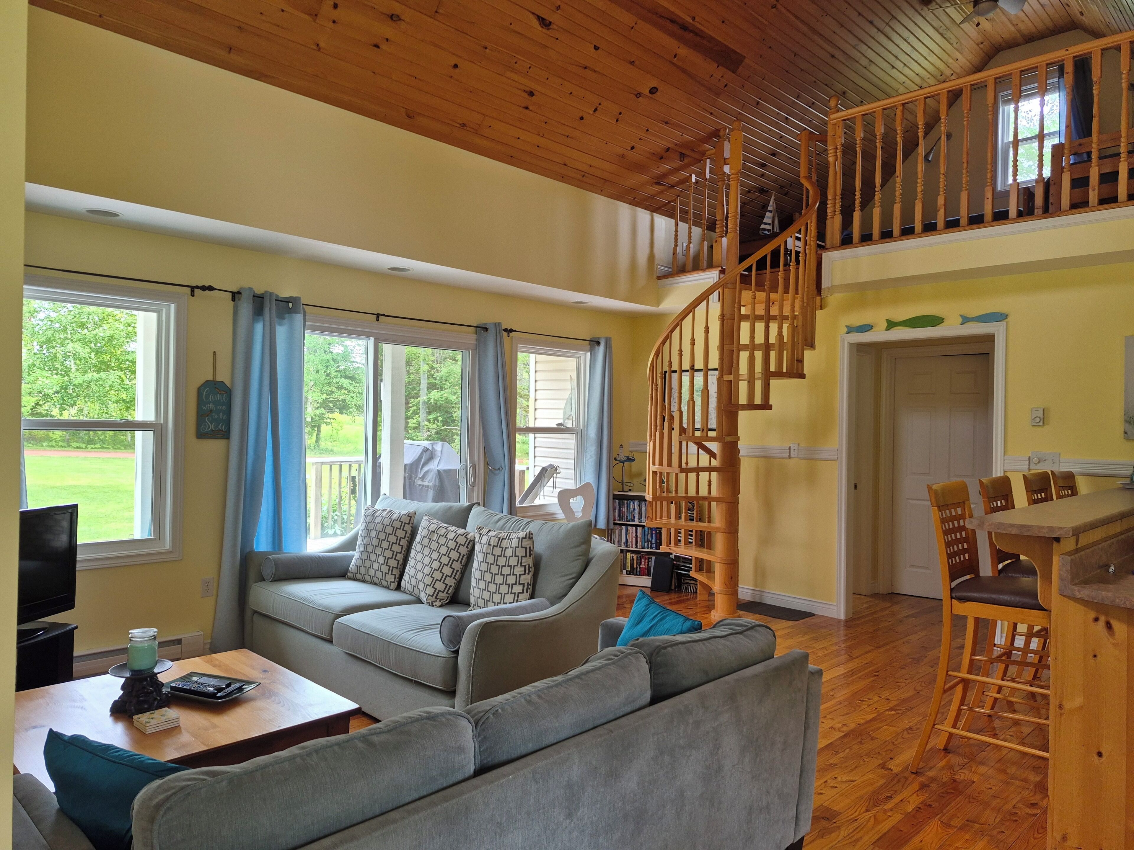 TV, fireplace, DVD player, books