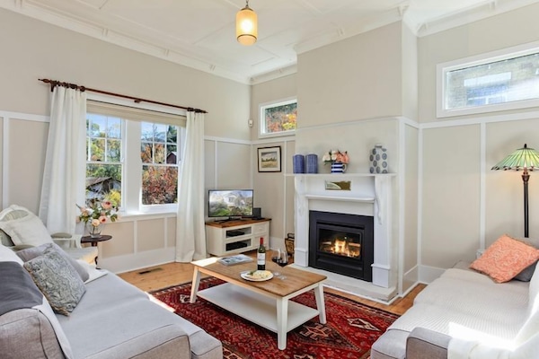 Smart TV, chimenea, reproductor de DVD, videoteca