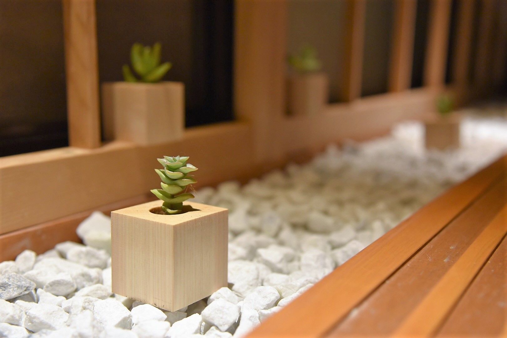 A wooden planter box with a small succulent plant on a bed of white pebbles.