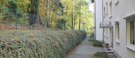 Un sendero bordeado por un seto y árboles, que conduce a un edificio con fachada blanca y ventanas.