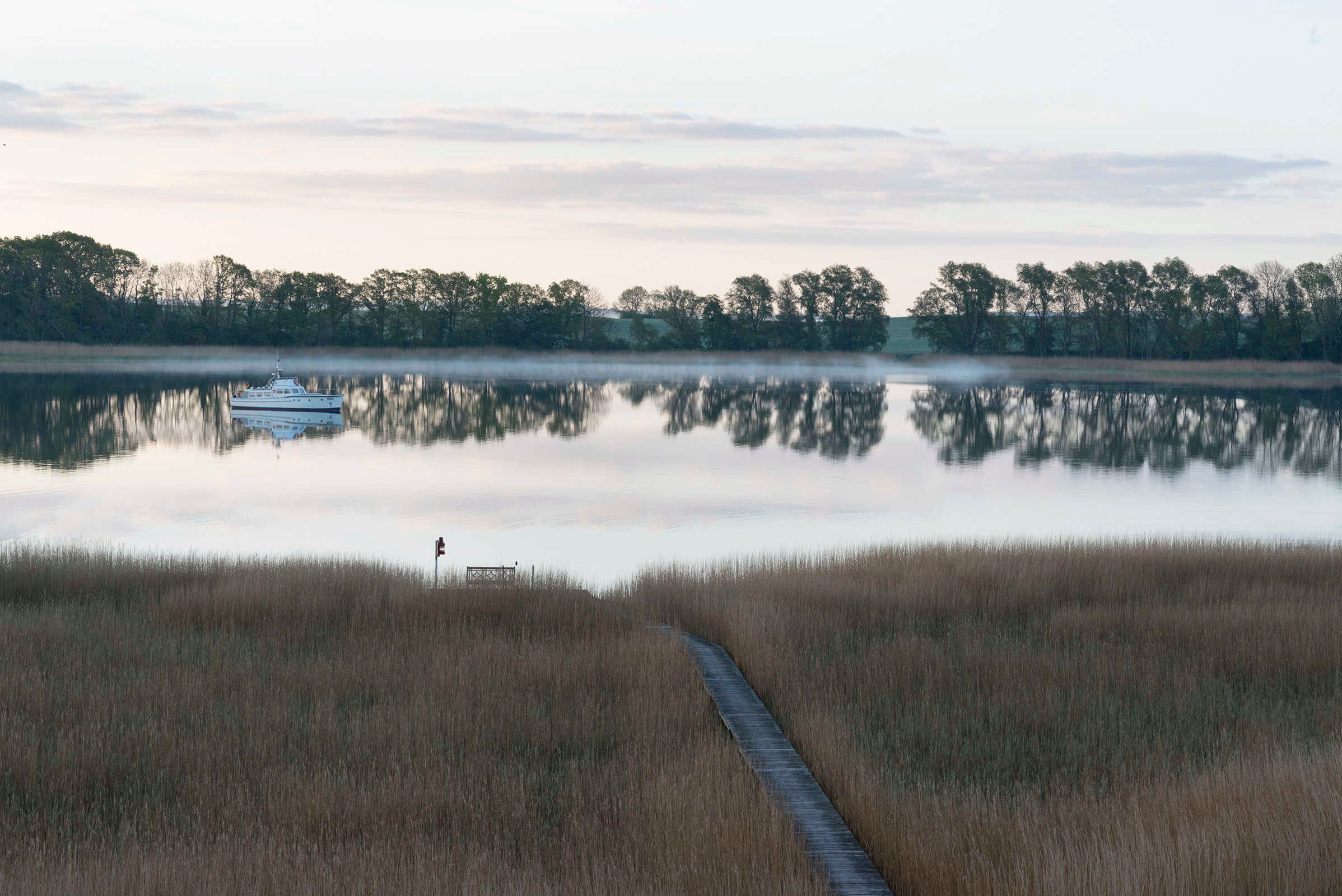 A calm lake with a boat docked on the left, surrounded by tall grasses and trees in the background.