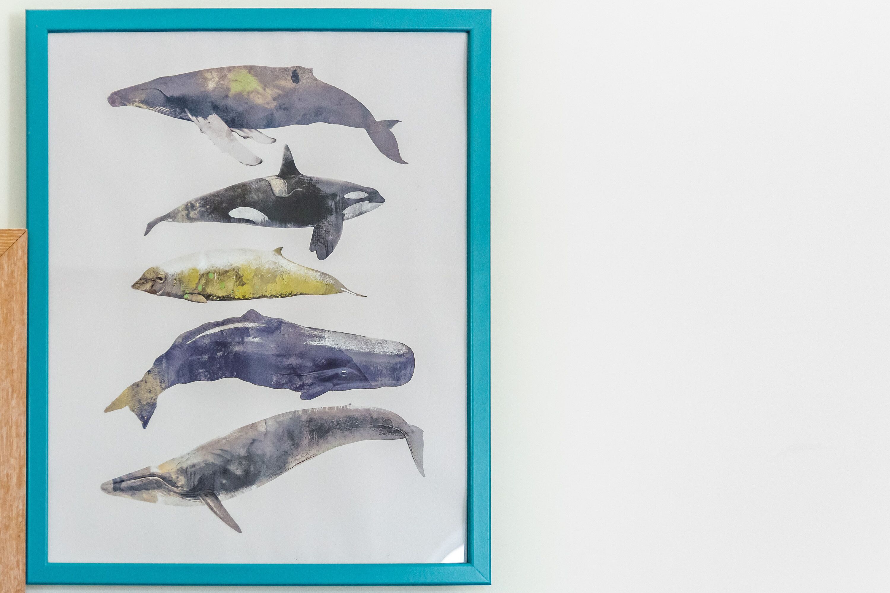 A framed artwork of five whales.