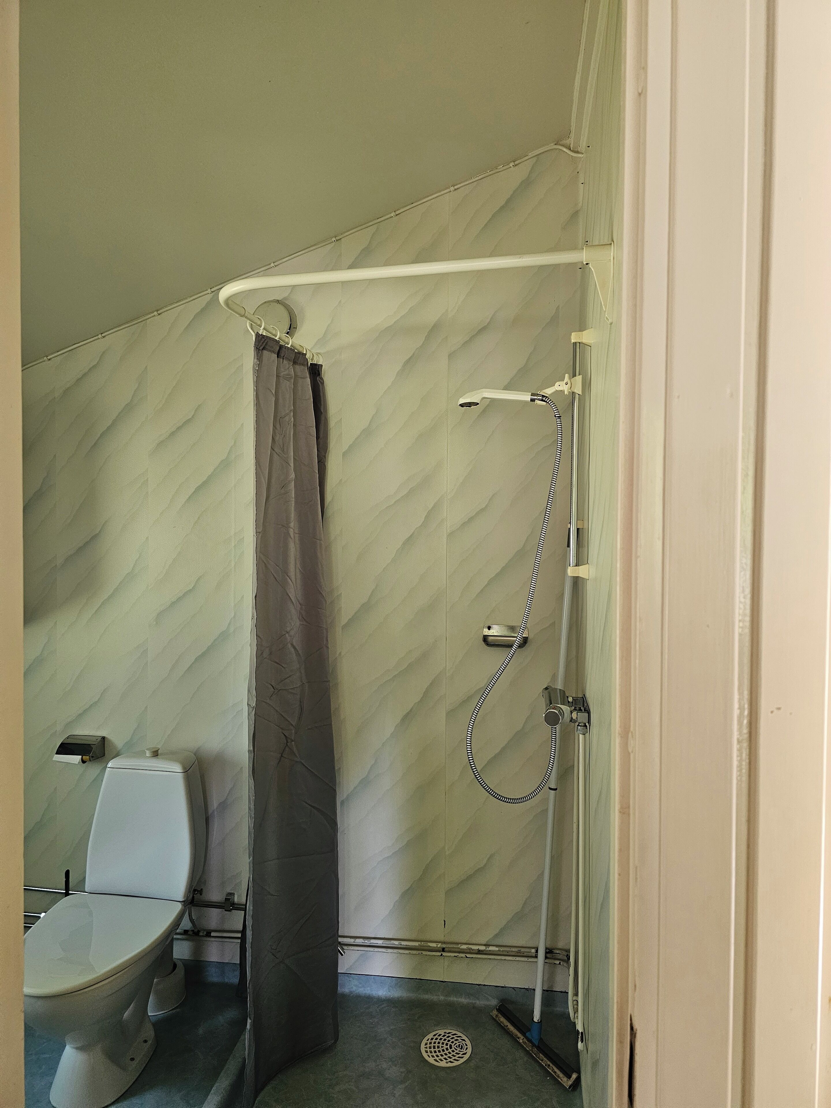 A bathroom with a toilet, shower, and a curtain.
