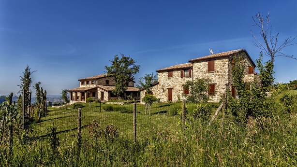 A stone house with a tiled roof, surrounded by a grassy field and trees. - Agriturismo Eutopia (San Leo)