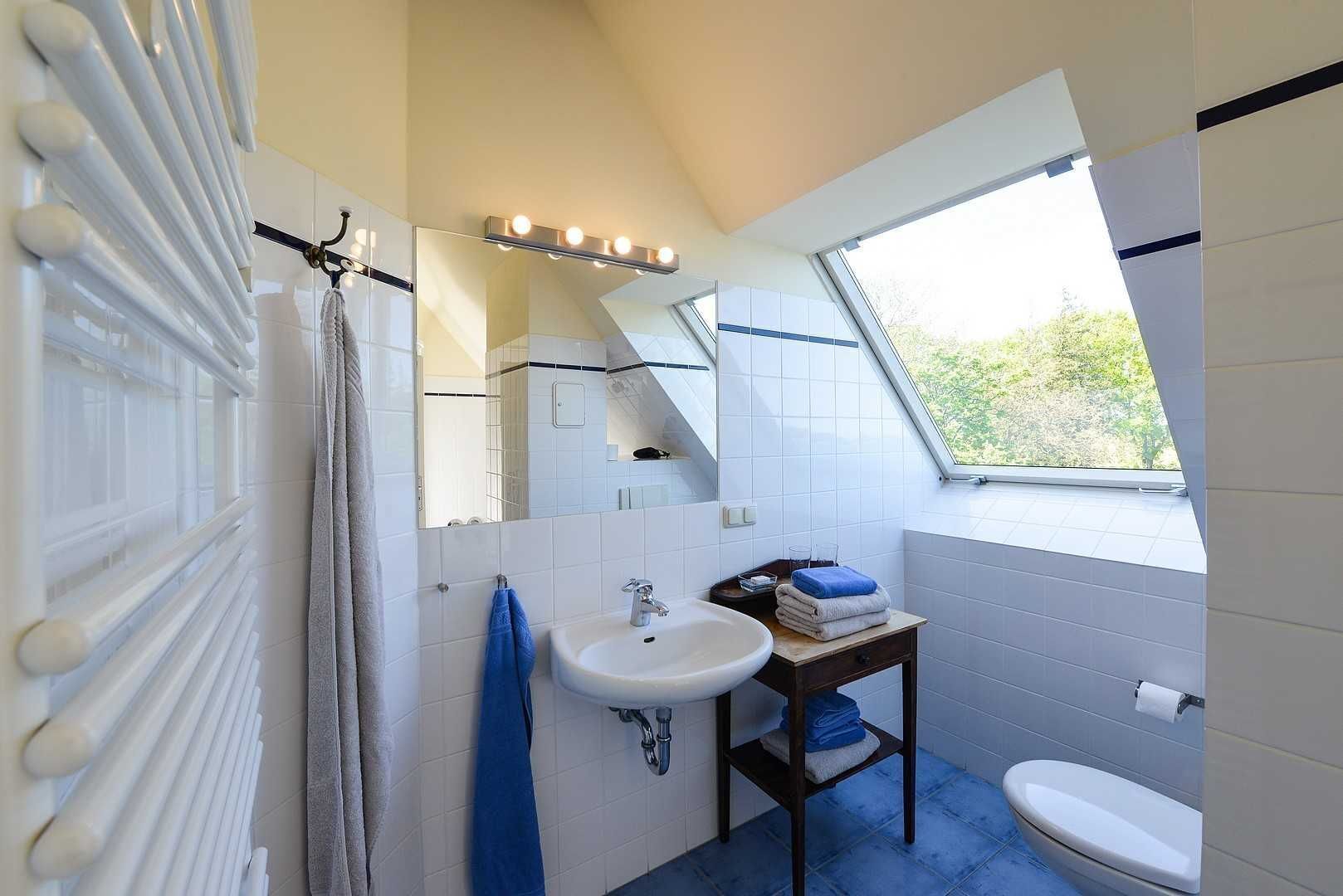 Une salle de bain avec un puits de lumière, un lavabo, des toilettes et un porte-serviettes.