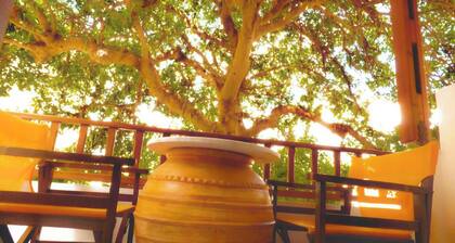 Tinos Heritage Plateia