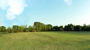 Un campo cubierto de césped con árboles al fondo.