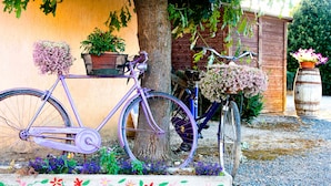 A bicycle with baskets and flowers, parked against a wall with a tree and a wooden structure in the background. - Agriturismo Al Vermigliano (Grosseto)