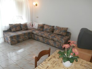 Flat-screen TV - Vila Marinela (Porec)
