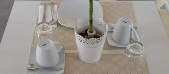 Dodo House Bed & Breakfast