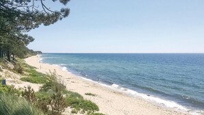 Uma praia com céu claro, areal arenoso e vegetação ao longo da costa.