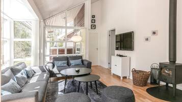 Smart TV, fireplace, DVD player