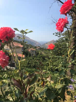 숙박 시설 구내