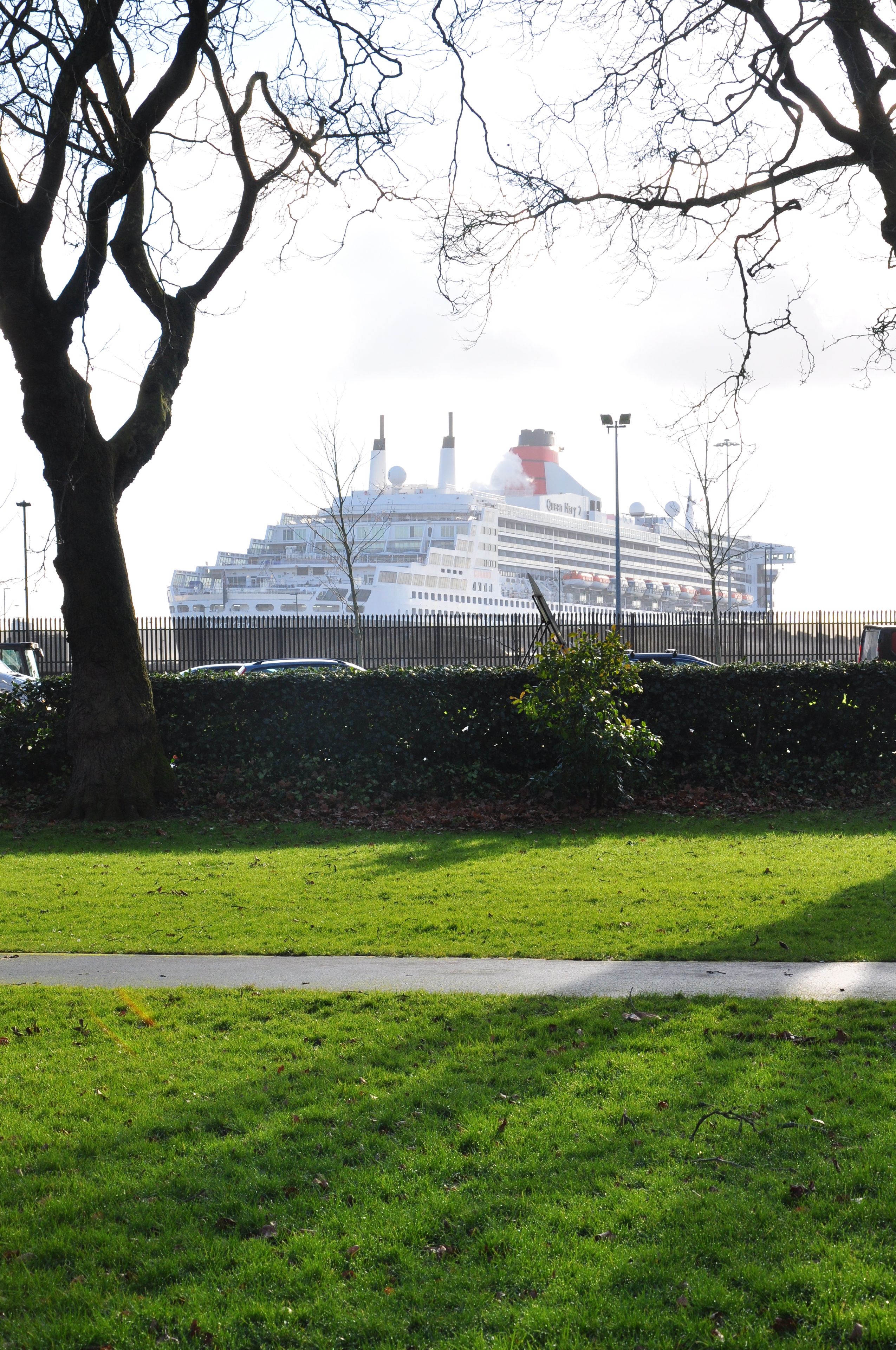 Ein Kreuzfahrtschiff liegt an einem Hafen, im Vordergrund befindet sich eine Rasenfläche und ein Zaun.