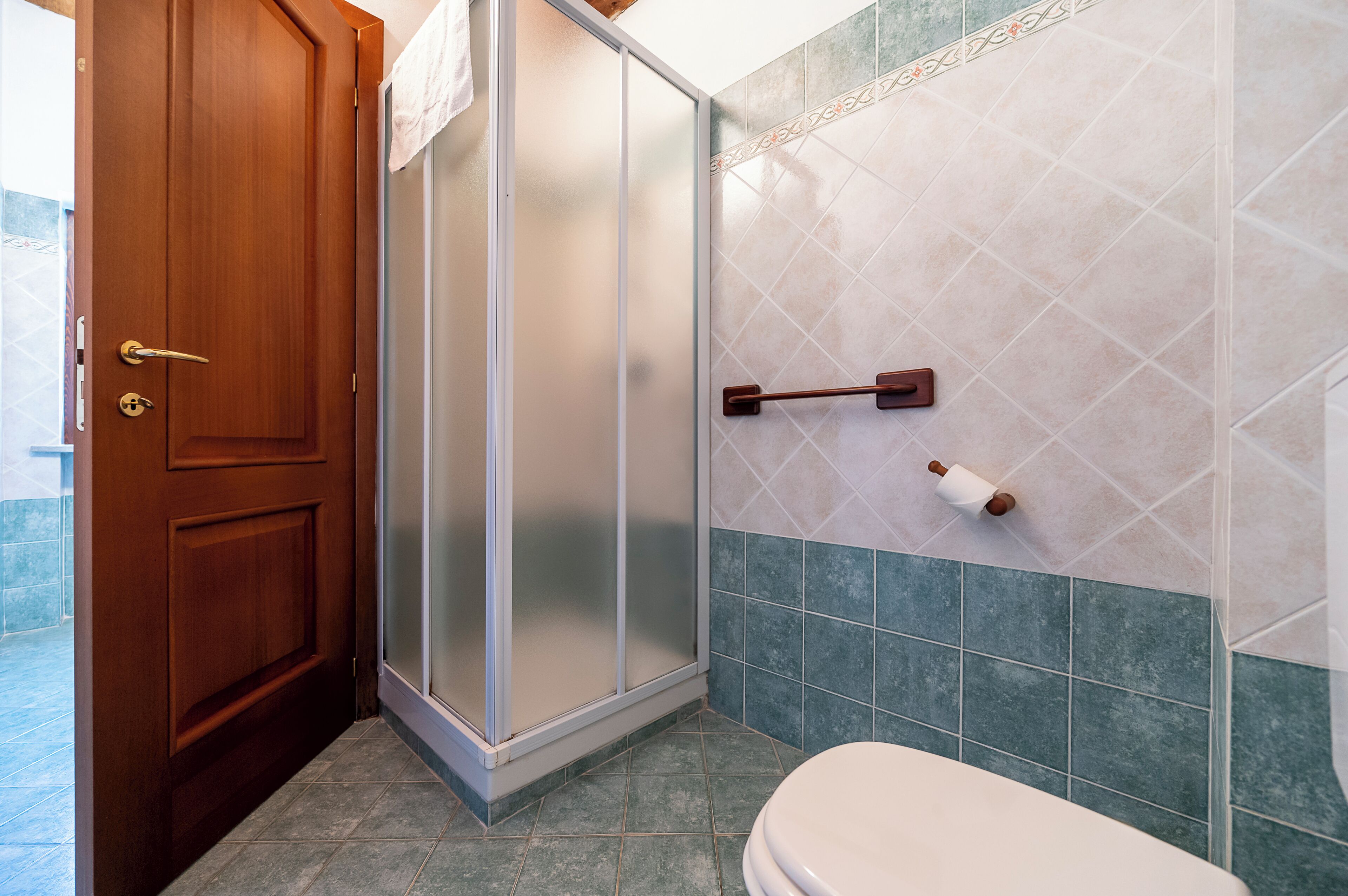 A bathroom with a wooden door, a shower enclosure, a toilet, and a towel rack.