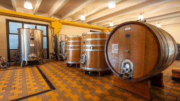 Een ruime ruimte met grote houten vaten en roestvrijstalen tanks, waarschijnlijk gebruikt voor opslag of fermentatie.