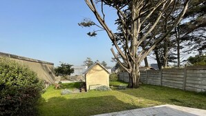 Un jardin avec un petit abri de jardin, un grand arbre et une terrasse en pierre.