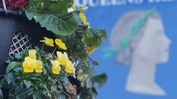 Un mur orné d’une fresque représentant le profil d’une femme et d’un texte, ainsi qu’une plante aux fleurs jaunes qui pousse au-dessus d’une grille d’évacuation.