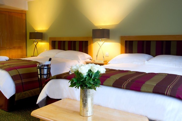 Egyptian cotton sheets, premium bedding, in-room safe, desk