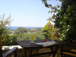 Greek cuisine - Ktima Nikola (Karystos)