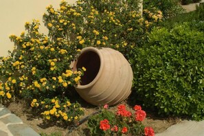 Jardim