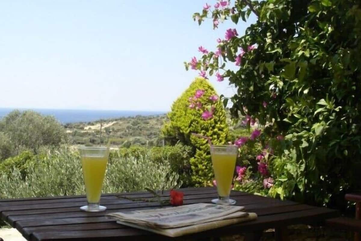 Uma mesa de madeira com dois copos de bebida amarela e um jornal, com um cenário de vegetação exuberante e vista para o mar.