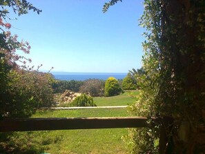 Garden - Ktima Nikola (Karystos)