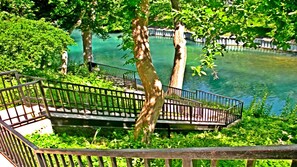 Property grounds - Romantic Elegance! Perfect Couple's Getaway Location! (New Braunfels)